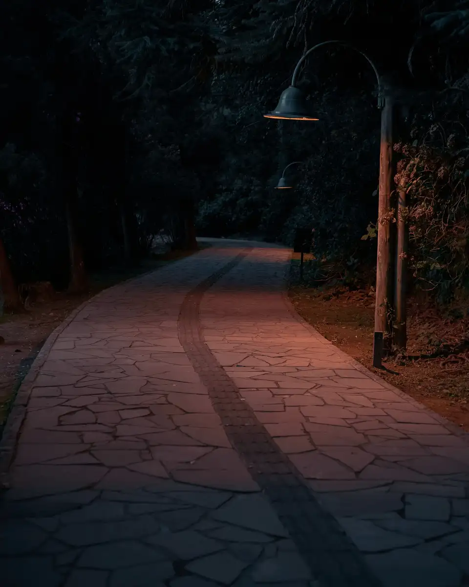 A stone path at night lit by warm lamps through dense planting